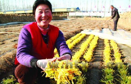 ����壺�»����ۡ��𡱶��б䶬æ
