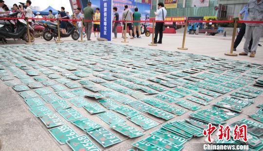 图为交警部门查获的电动自行车假车牌。 王刚 摄 南宁交警1个月查处30万起电动车违法行为