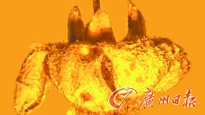 ������ӡ���������еĻ��䡣