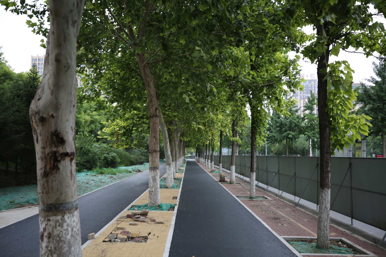 柳泉北路西侧路1