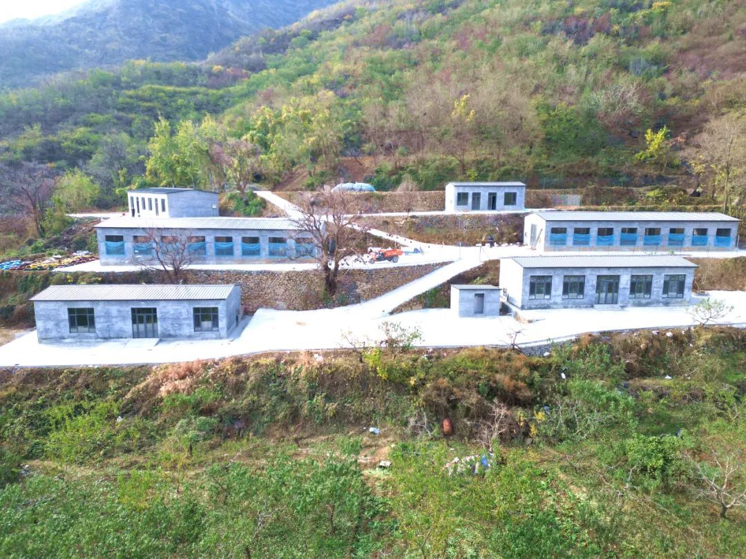 ������ƽ�������ֵ�����������ɽ���ܳ����˼��ٶ�