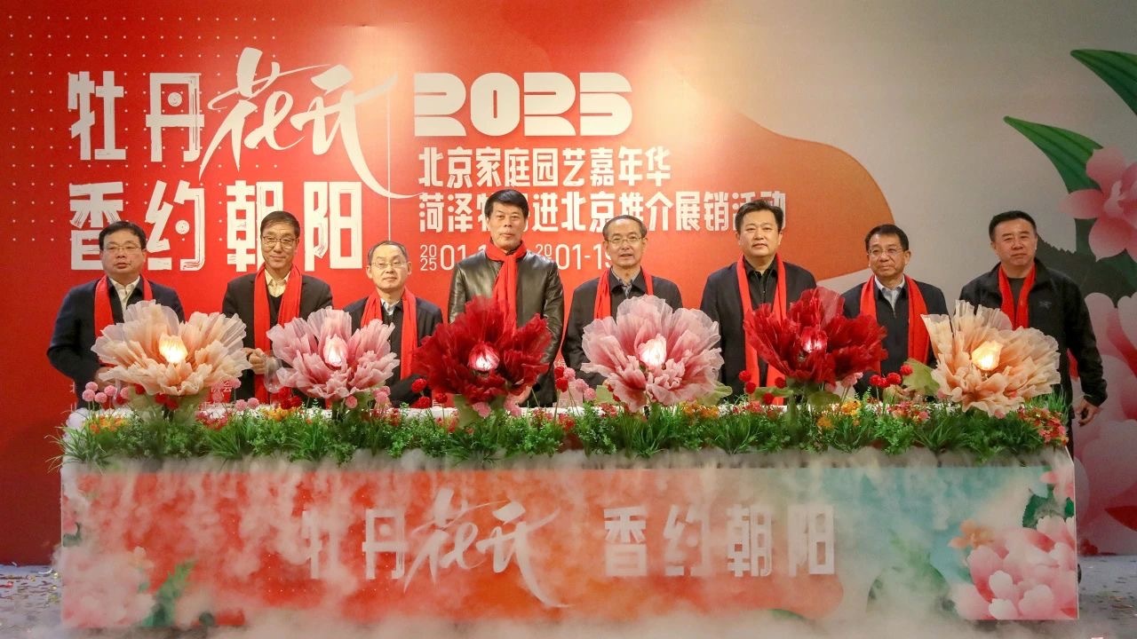 ����ĵ�����ϳ�ǧ���ʢ������
