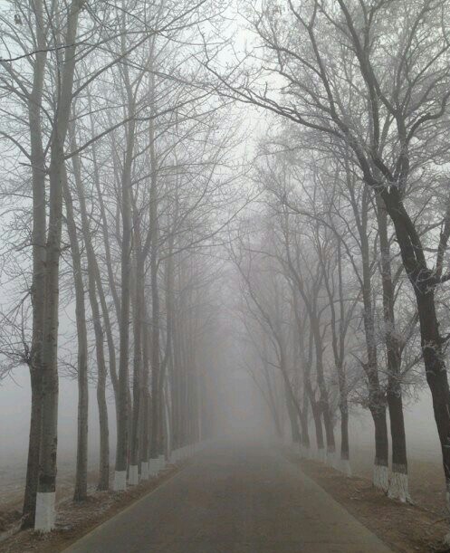 �����콫���С·Ӫ����ر�����