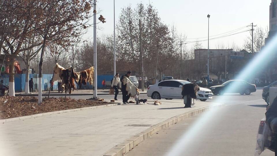 ��֦���������¼ܡ�������Ͱ��������̨���������̷��������۶���ëƤ