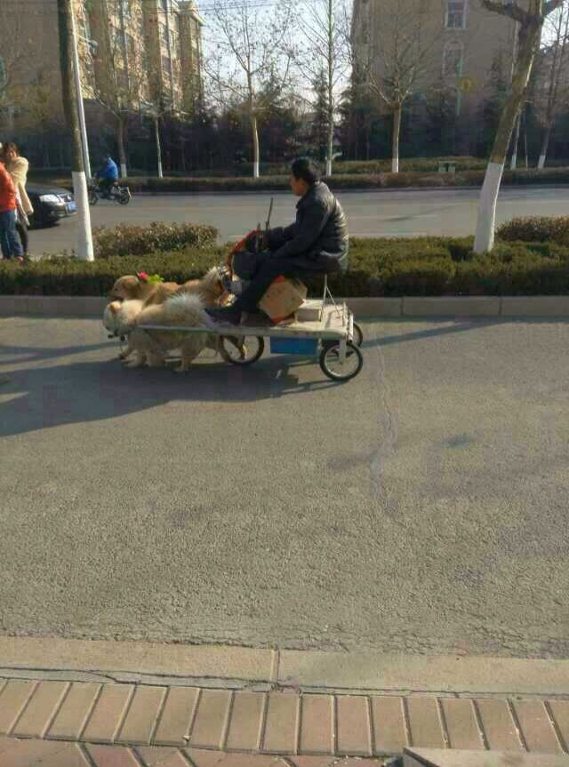 ��̨��ͷ���ֹ�������������