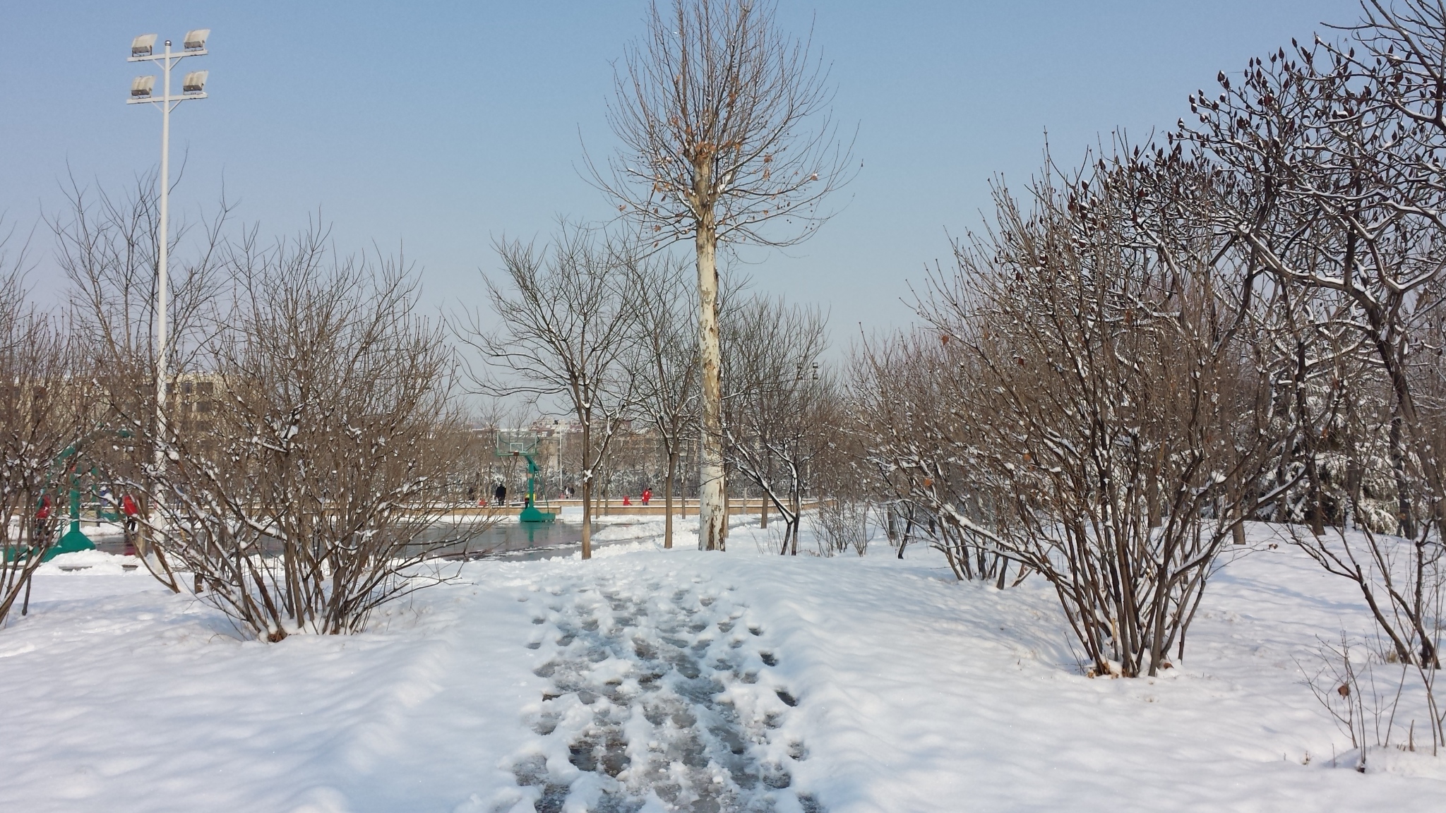ѩ��5