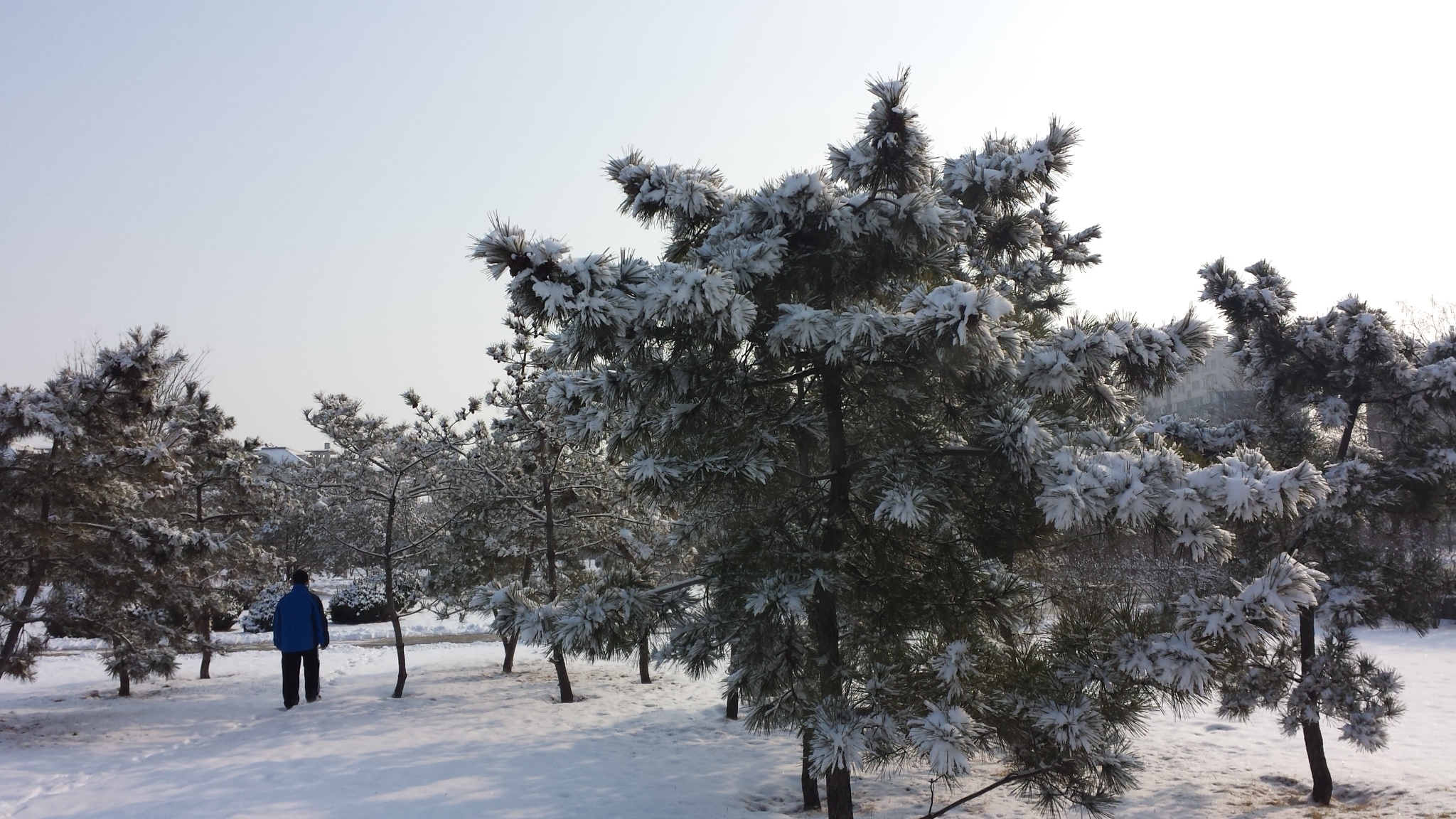 ѩ��9
