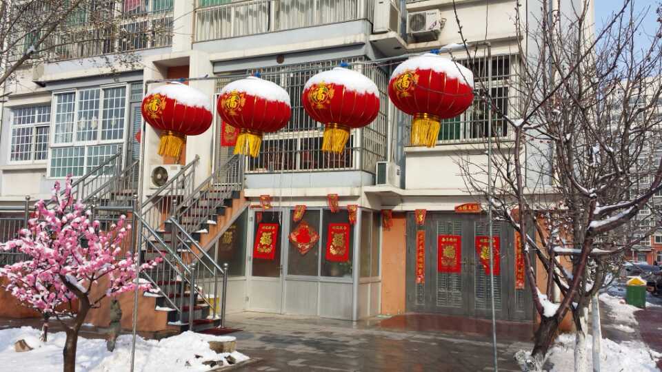 ѩ�����