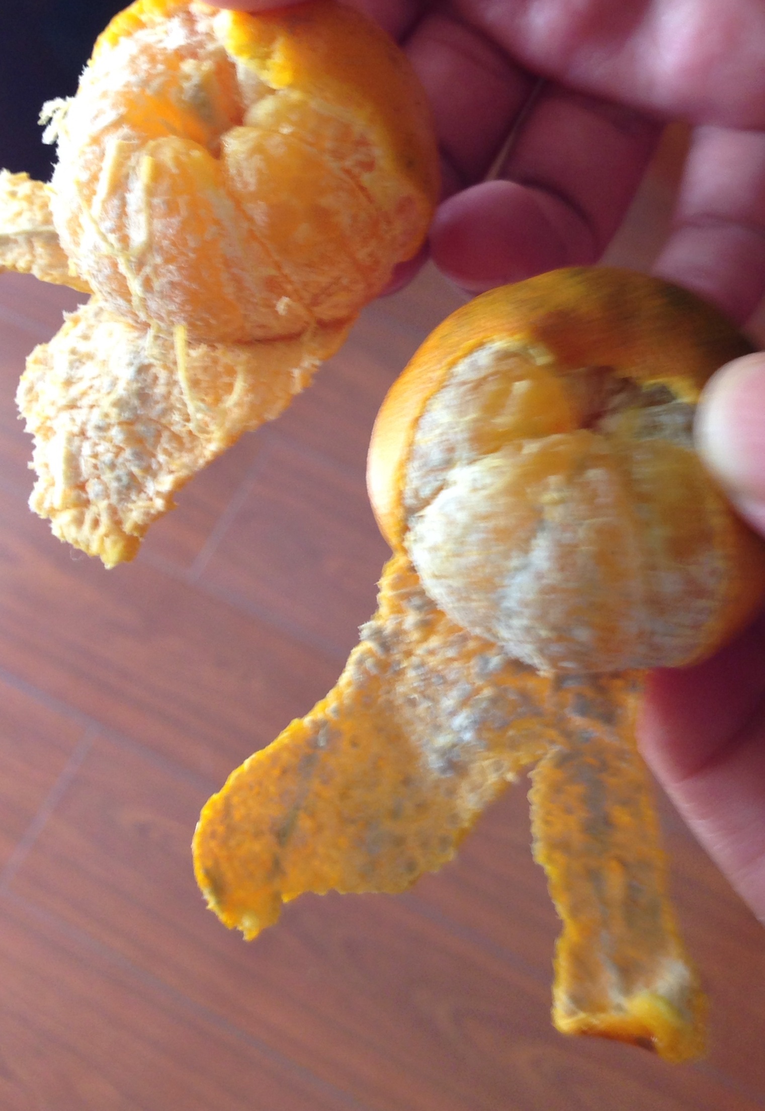 ������ů����������������ܺõ���������ò�Ƴ�ë��