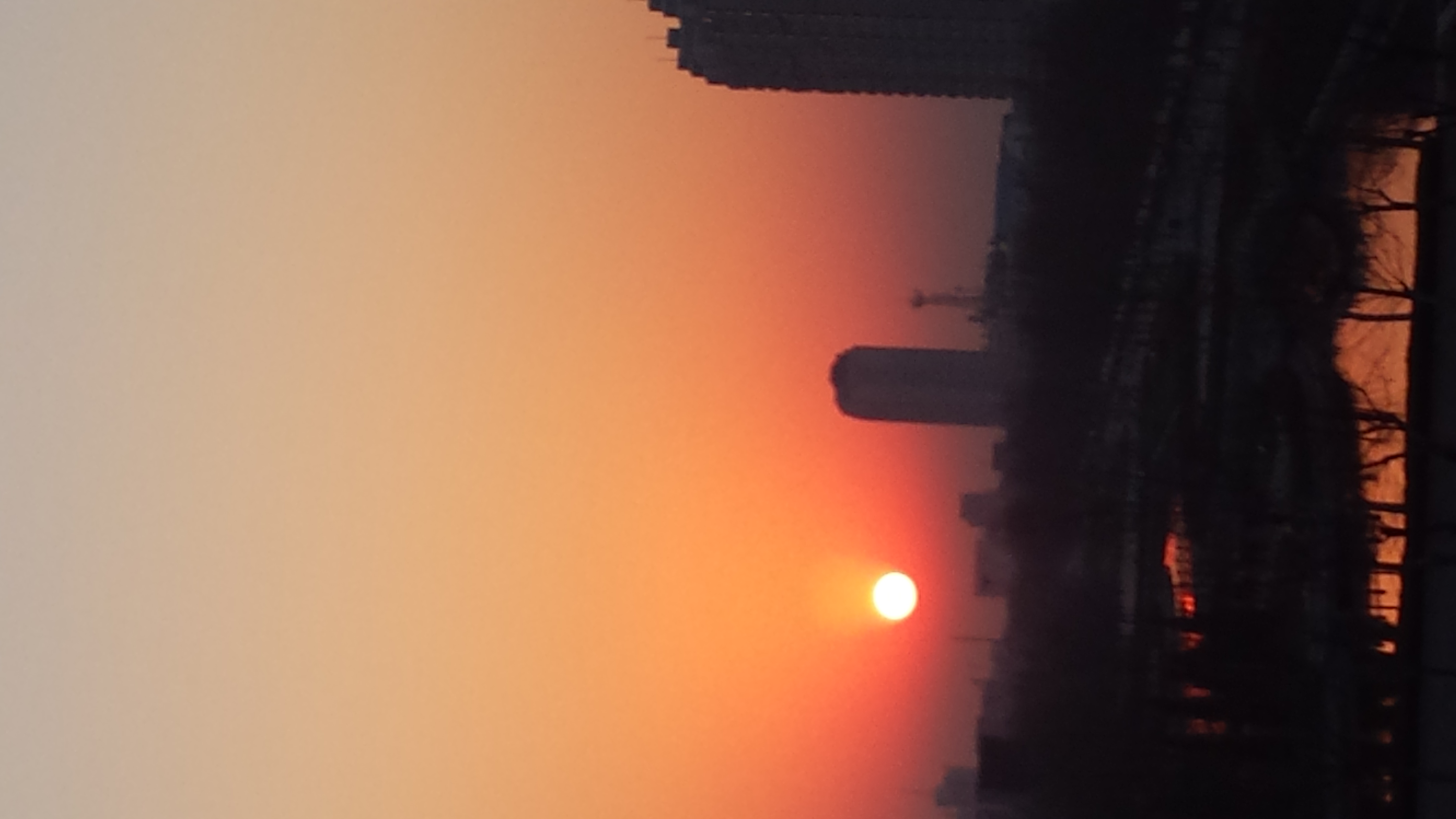 ���ֳ���������