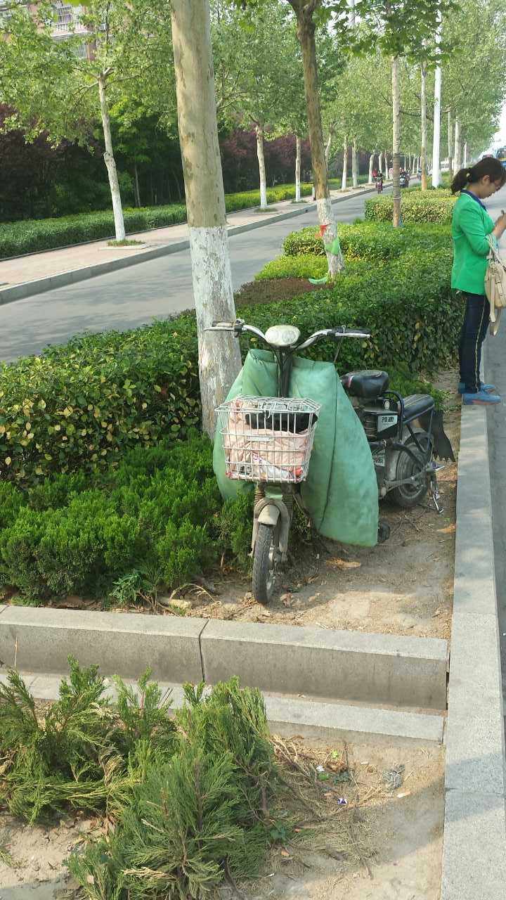 �綯��ͣ�����̻���