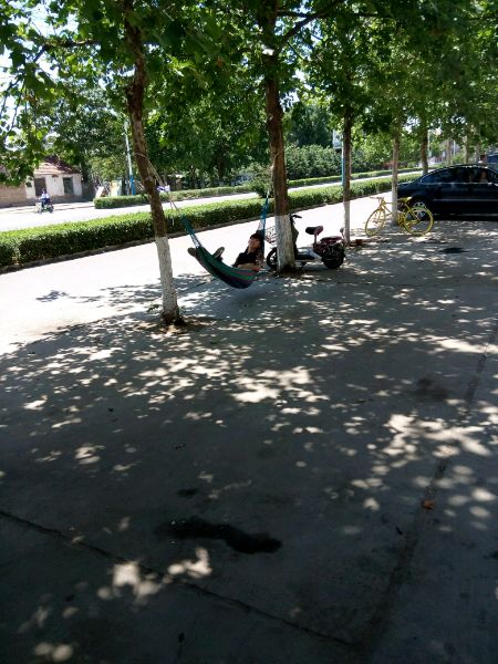 ���ݵ��������ֶ���