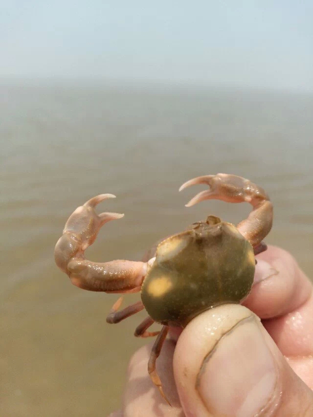 ������Сз��