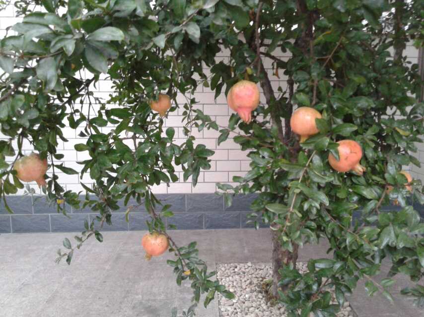 �������