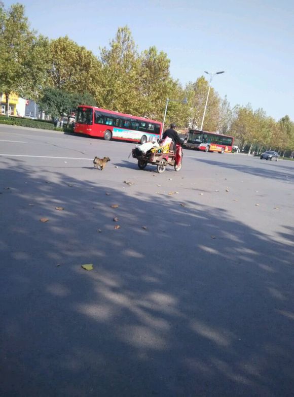 ������ʵ�ġ����ѡ���