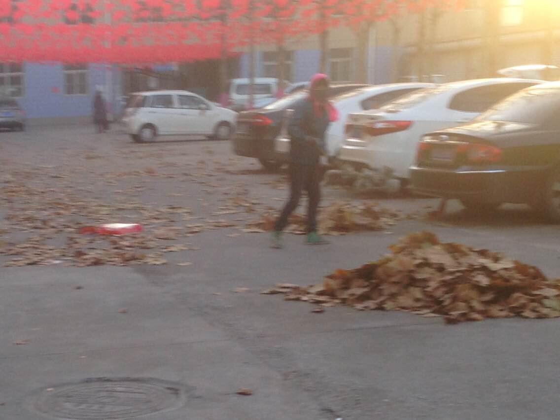 �񶬵�һ��������Ϯ����Ҷ���أ�����������ɨ��Ҷ��
