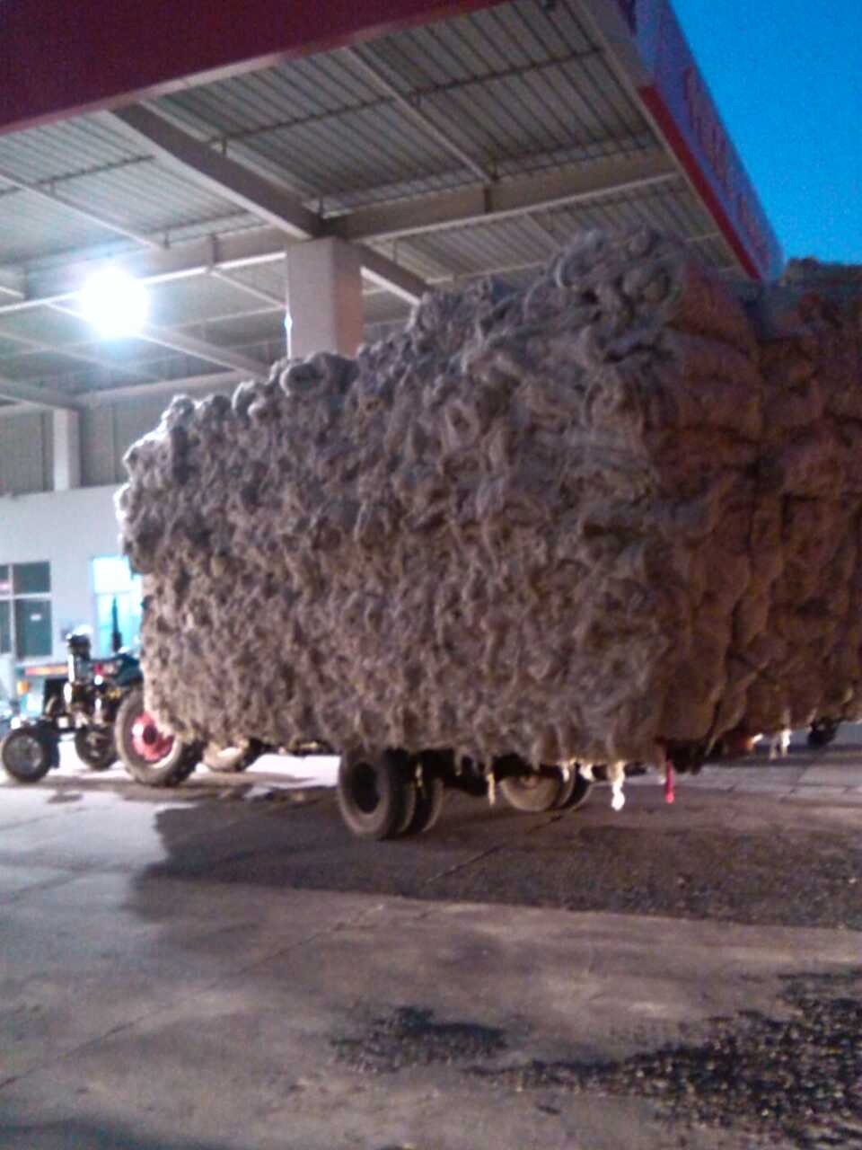 ��ôС������������ô��Ļ���̫Σ���ˣ�