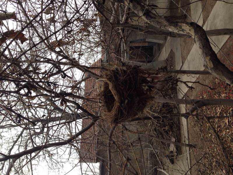 ���ݼ����ϵ��񳲡�