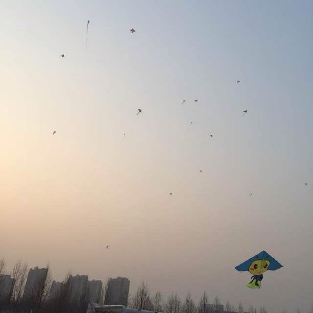 ����תů���������ķŷ��ݵĶ���������
