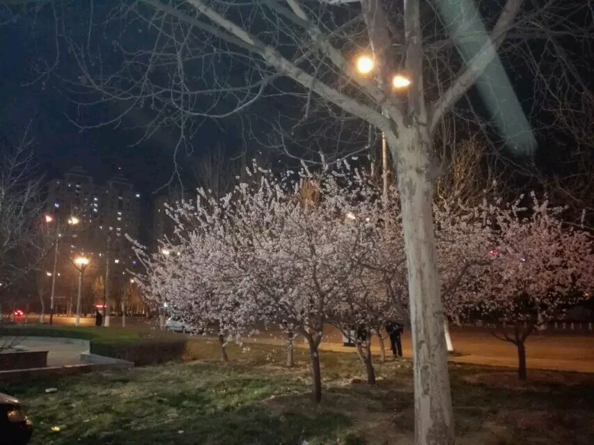ҹ�����ӻ���������