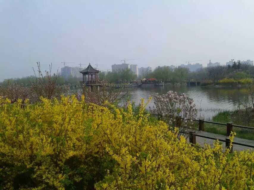�������羰֮һ