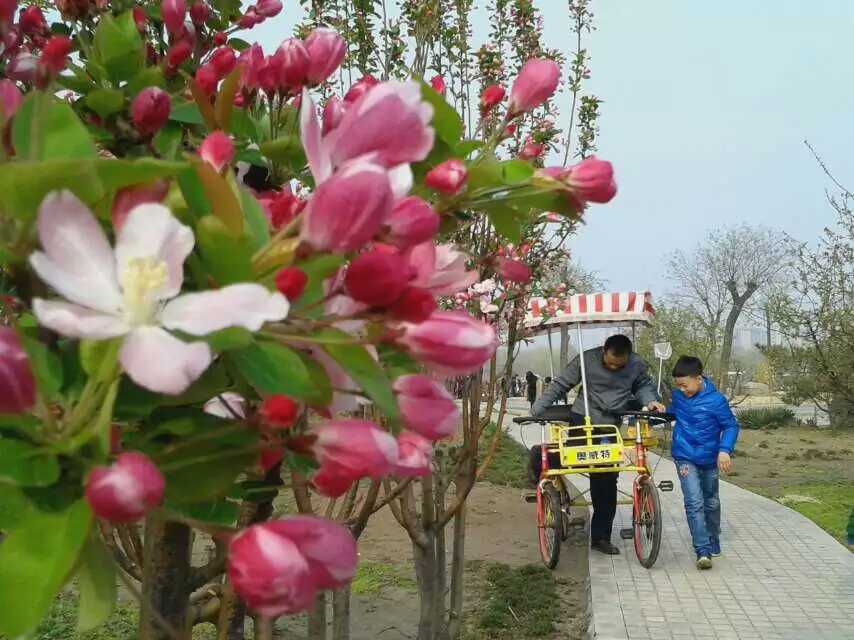 �������羰֮��