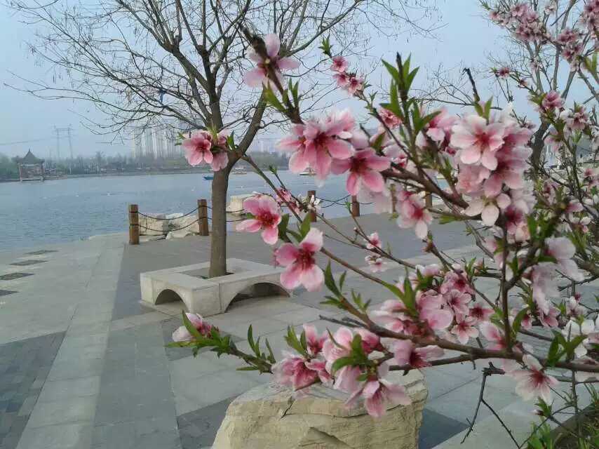 �������羰֮��
