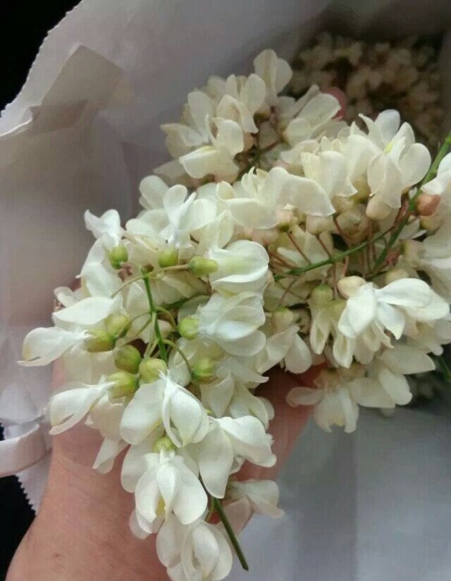 ������