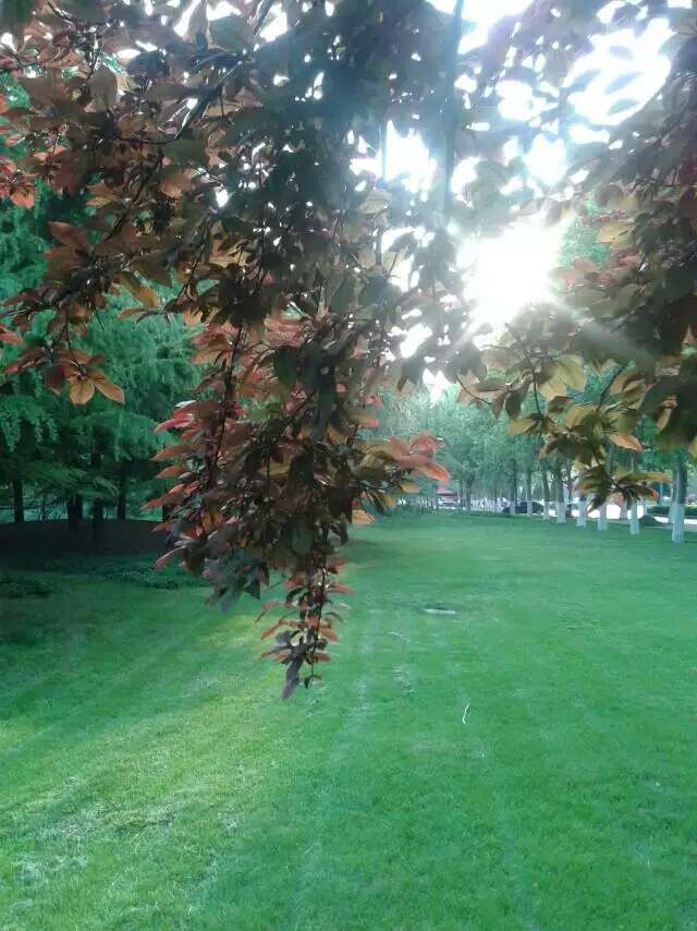 Ϧ���µĳǱ�㳡ϵ��֮��