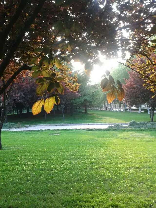 Ϧ���µĳǱ�㳡ϵ��֮��
