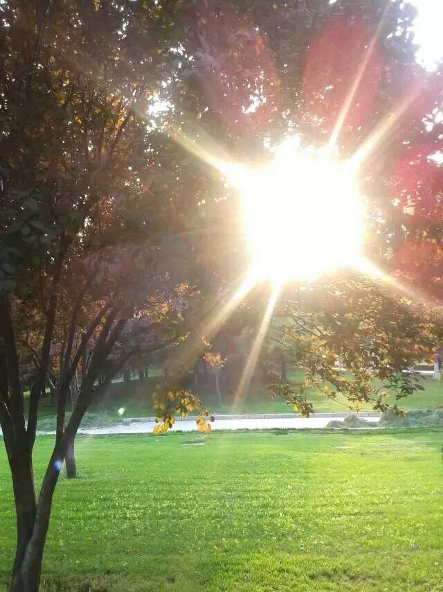 Ϧ���µĳǱ�㳡ϵ��֮��