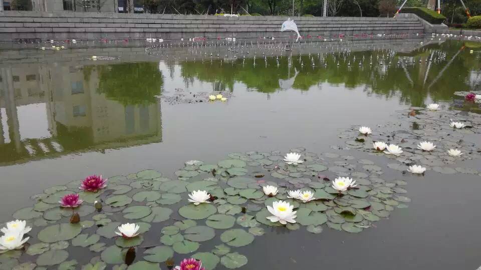 ˯����������֮һ