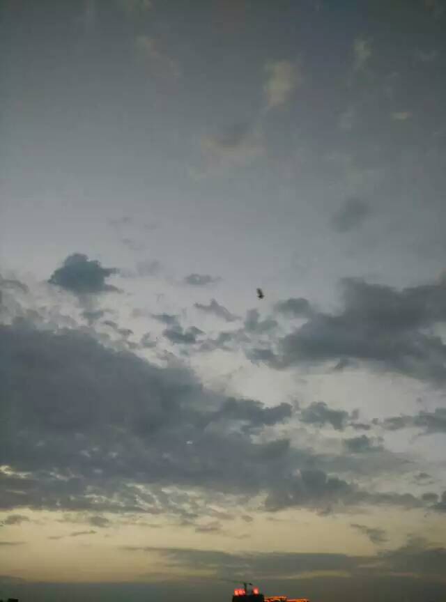 �������������ա�
