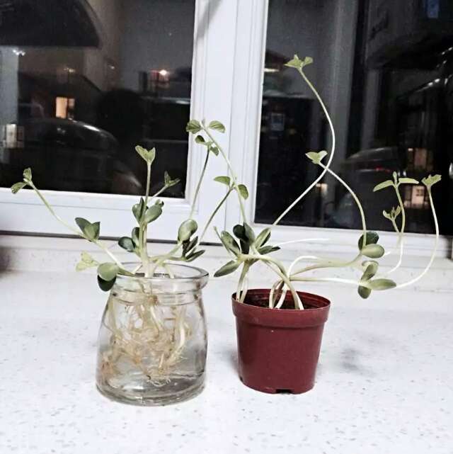 ˮ�ඹѿ�����ඹѿ