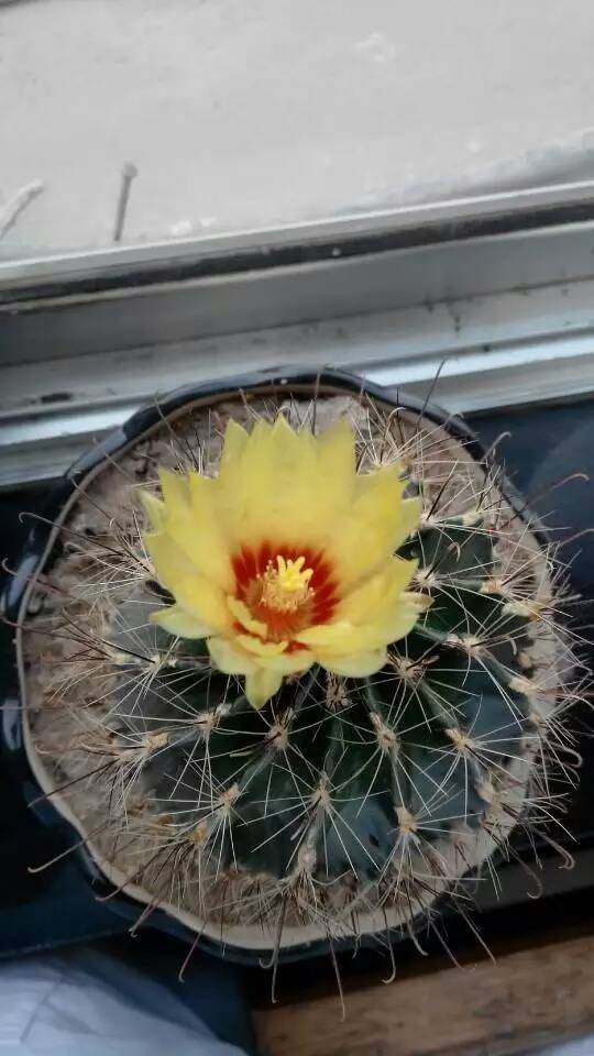 �����򿪻��ˡ�