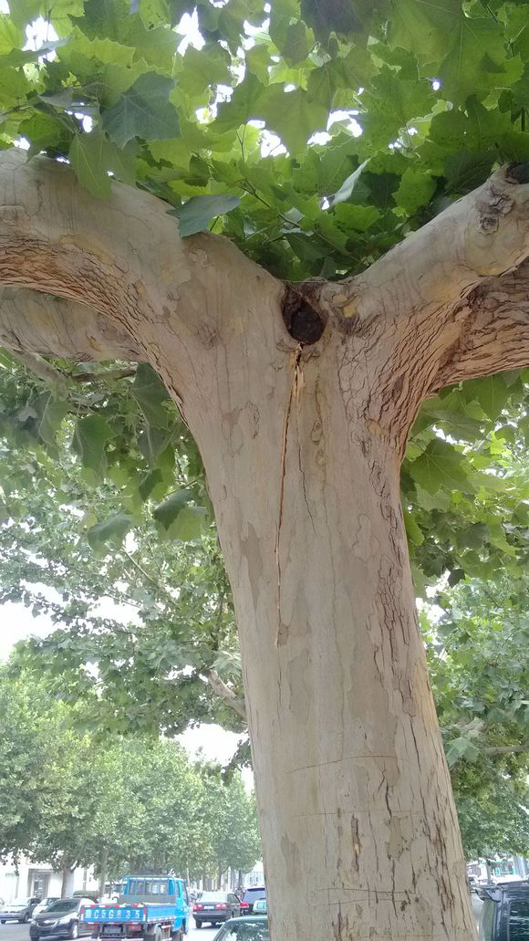 �Ϲ�԰�������Ҫ�ϵĽ��࣡