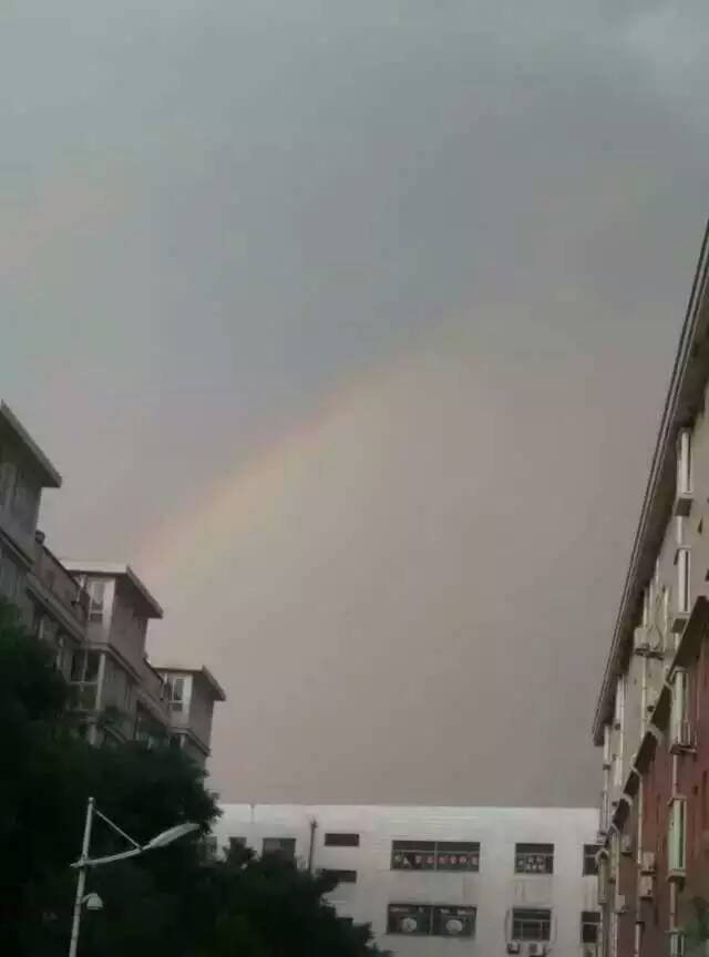 �����Ĳʺ�