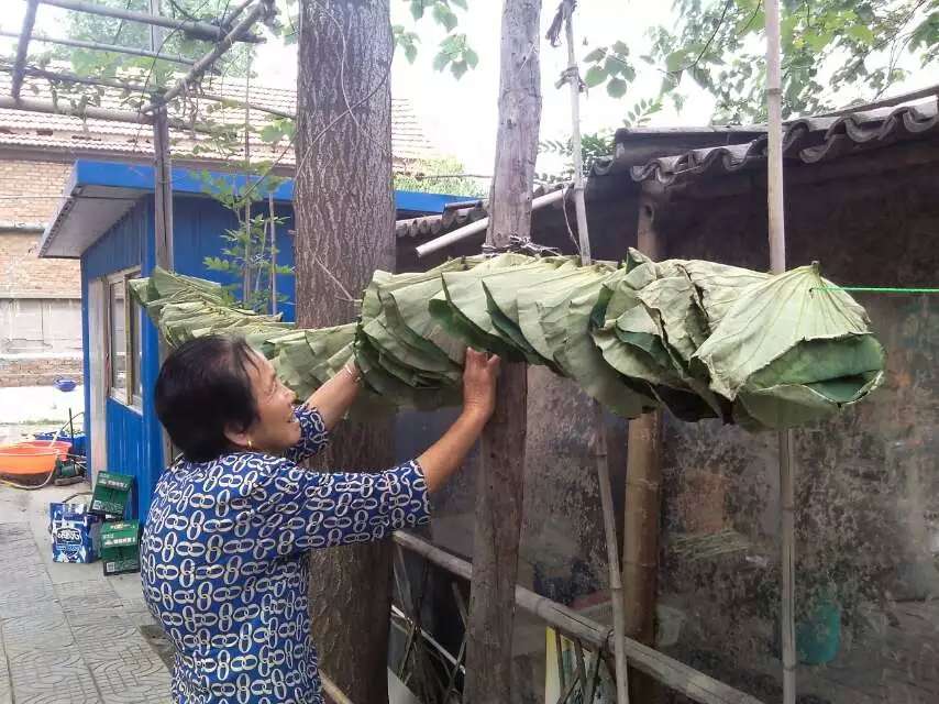 �������ˣ���̤������ͳ��������Ҷ