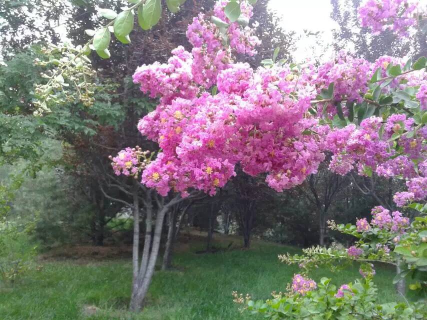 ���»���֮��
