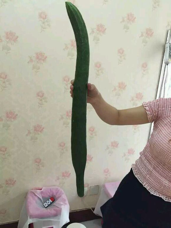 ��ƹϣ�զ�ֳ����ģ�