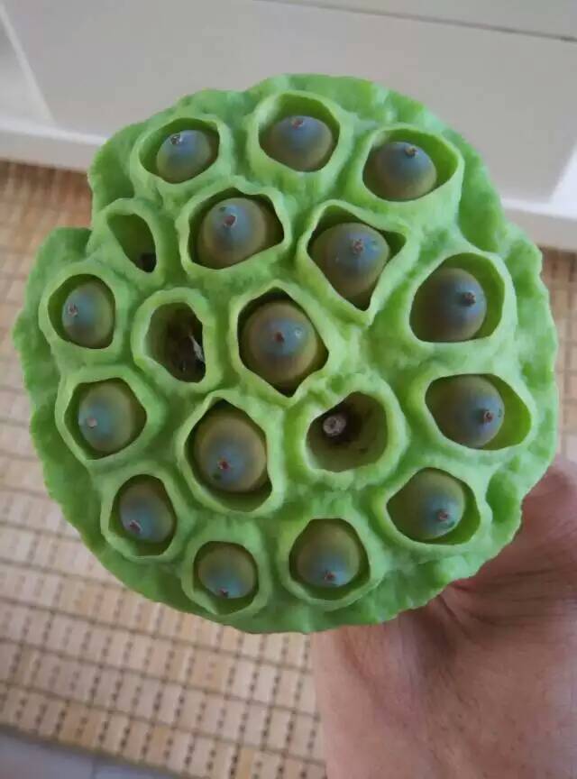 ���������
