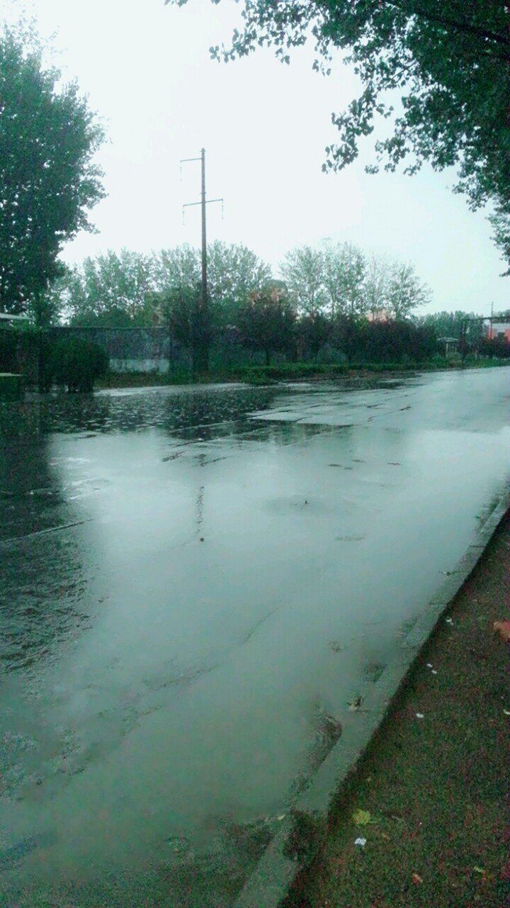 ���껩����