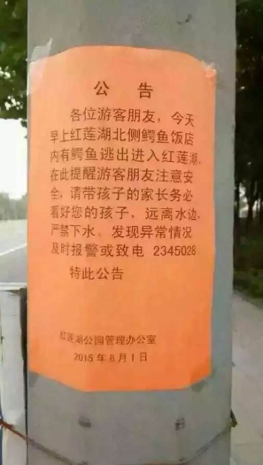 �������������㣿