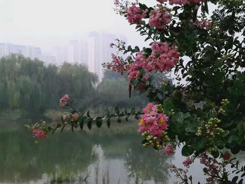 ���а��պ졣�����������ġ�