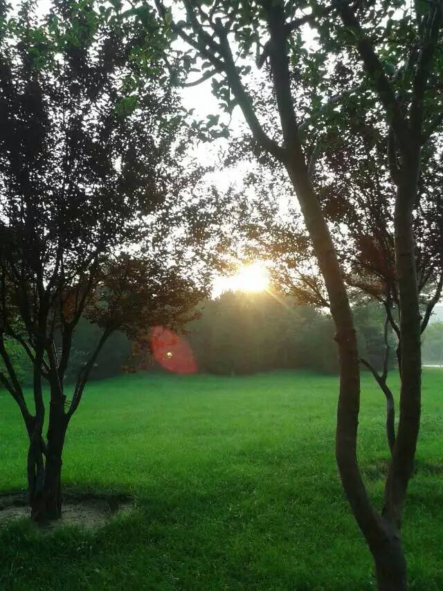 �ٺ����أ�