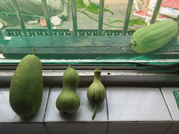 ð���«��˿�ϣ�