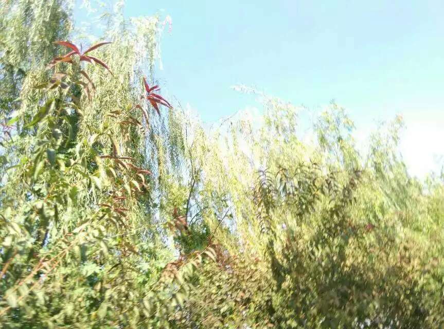 ���������������ں�ɏ�����ڣ�