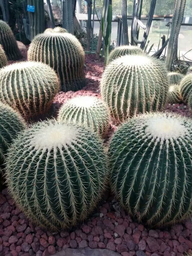 ������
