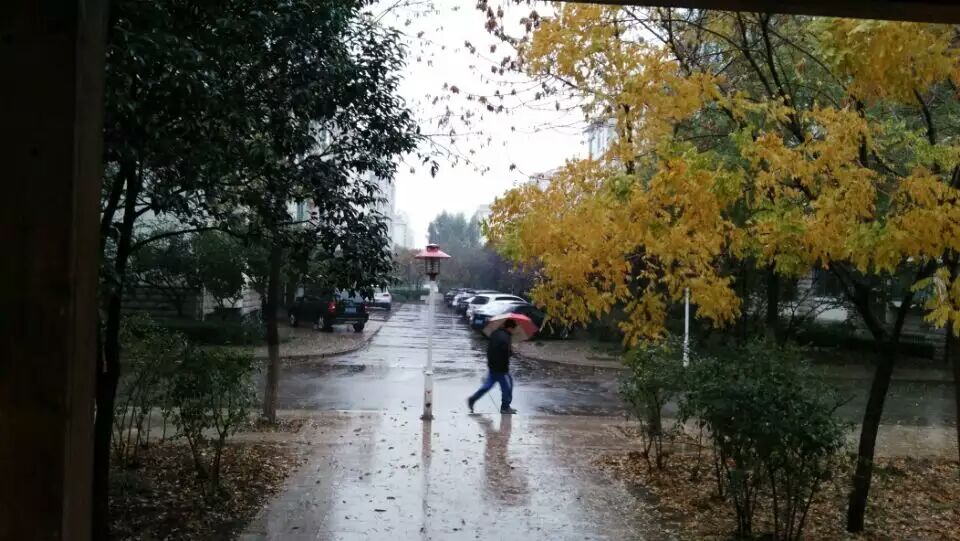 �����꾰��������Ȼ��