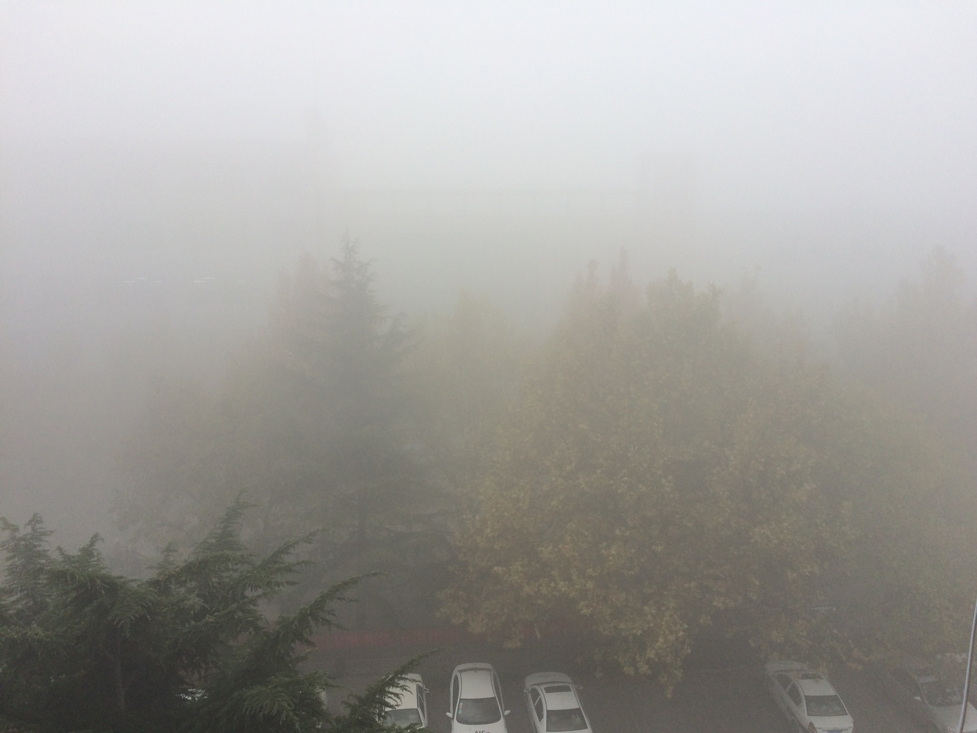 �����ܼ��ȷǳ���